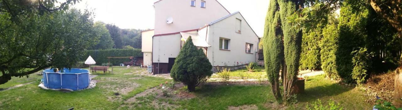 Apartment U Šárky Loket Exterior foto